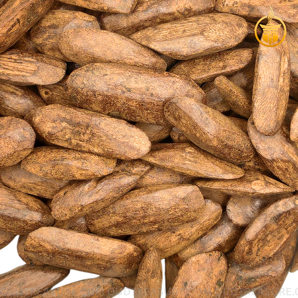 مروكي محسن ظفر 100