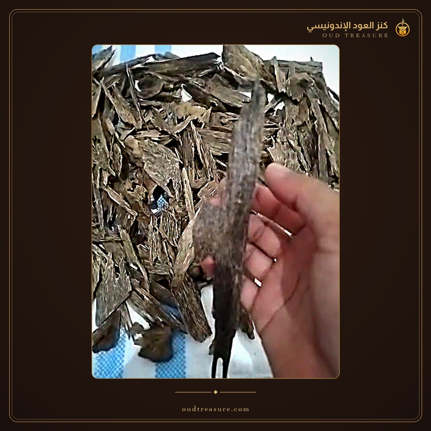 عود اتشيه طبيعي دبل - كنز العود الإندونيسي