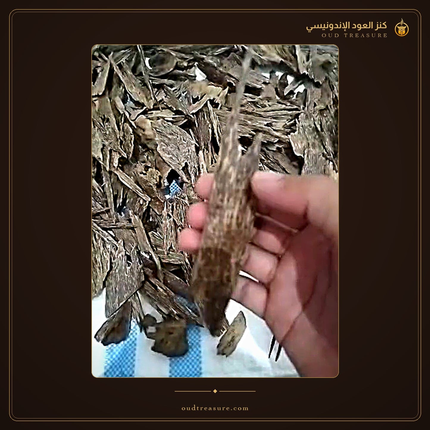 عود اتشيه طبيعي دبل - كنز العود الإندونيسي